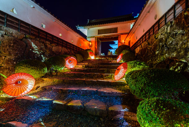 Castle entrance at nigh during momiji Festival