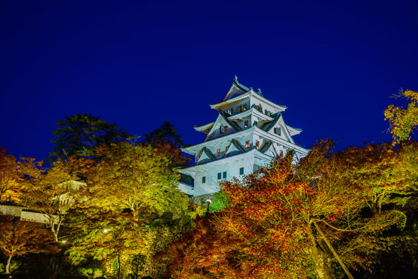 Gujo Hachiman castle in autumn