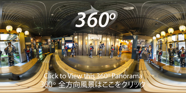 An immersive 360 degree panorama inside the Hakurankan showing a Gujo Odori lesson