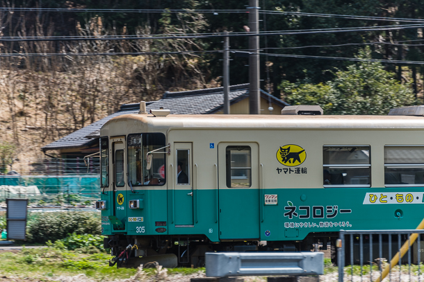 Kuroneko Livery Nagara River Rialway train